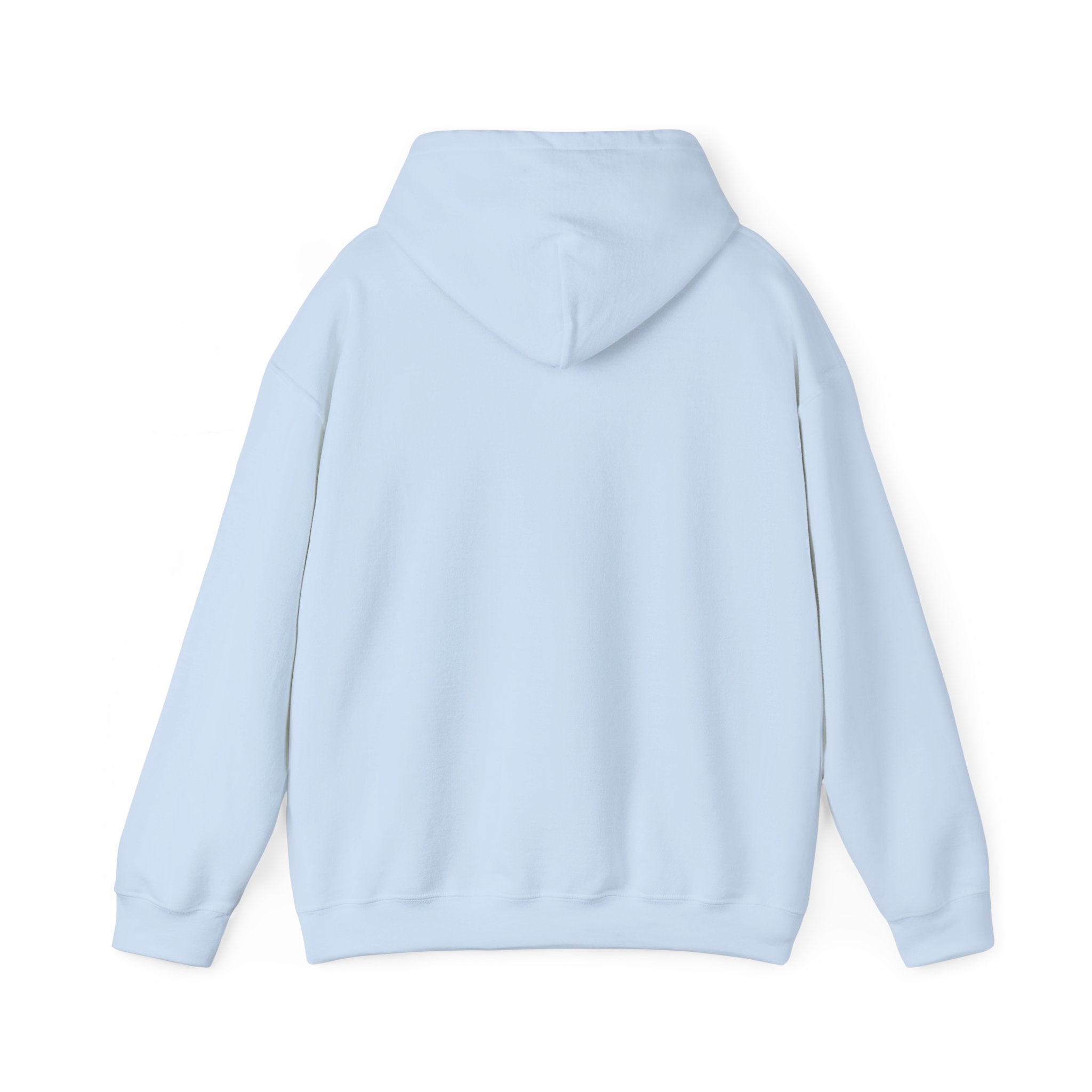 Vintage Professional EST. 1965 Hoodie | Minimal Vintage Arch Logo