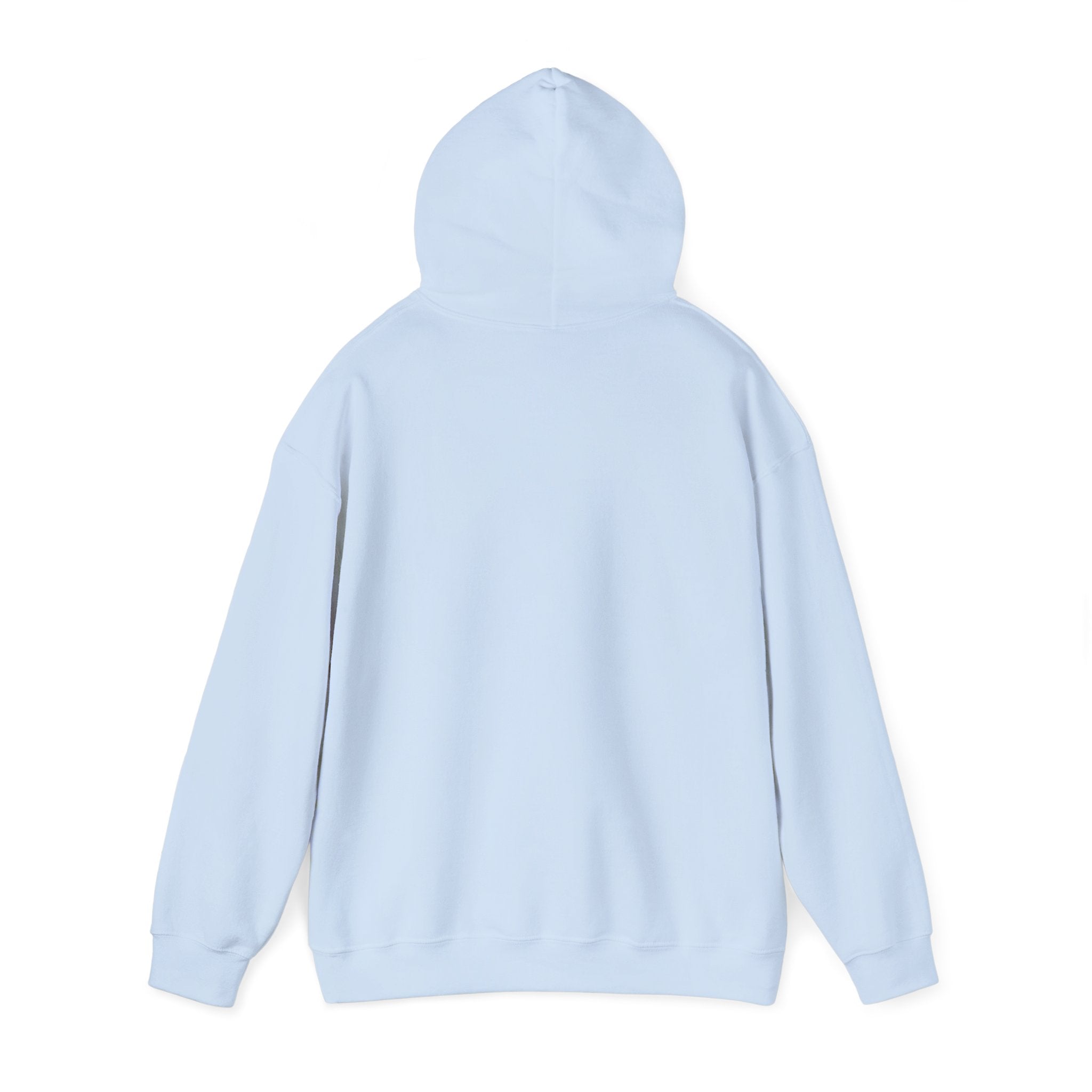 Vintage Professional EST. 1965 Hoodie | Minimal Vintage Arch Logo