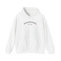 Vintage Professional EST. 1965 Hoodie | Minimal Vintage Arch Logo