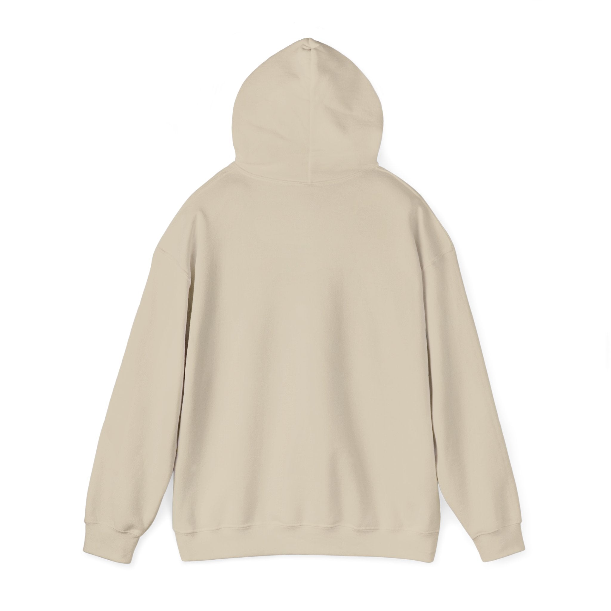 Vintage Professional EST. 1965 Hoodie | Minimal Vintage Arch Logo